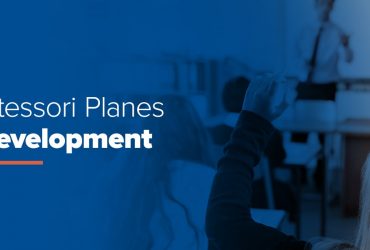 Montessori Planes of Development